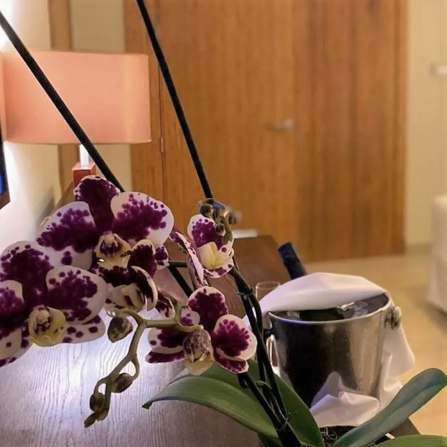 Breathless Punta Cana Resort & Spa (Adults Only)